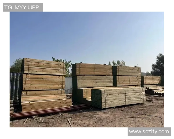 防腐木材应用技术与环境适应性研究：提升户外建材耐久性与生态友好性