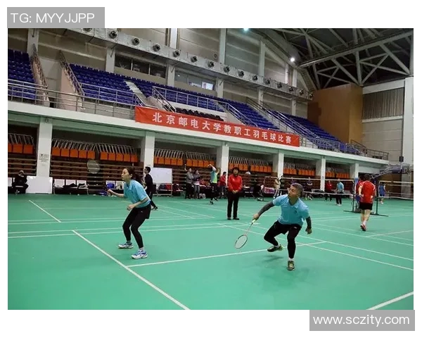 北京羽毛球队比赛经验分析与数据洞察探讨