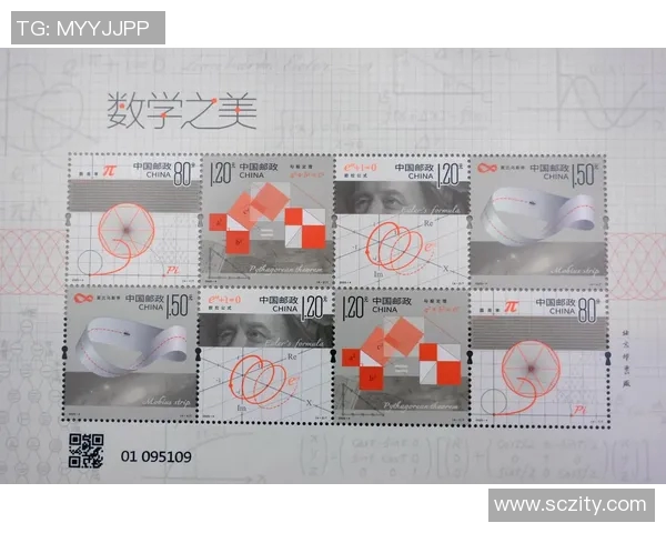 与杨秀英畅谈她的排球生涯与心路历程的精彩对话