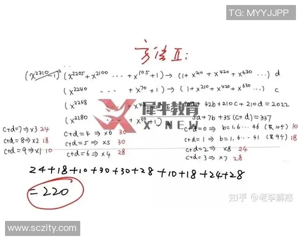 独家解析西安排球队团队协作模式的差异与优势分析