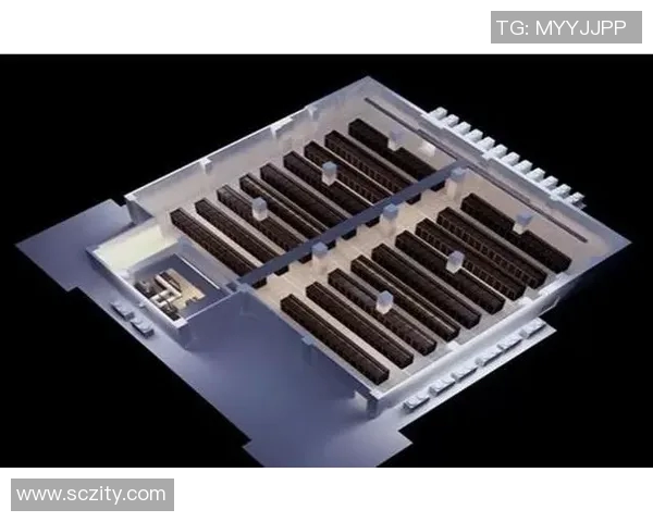 武汉极限运动队灵活性表现的数据分析与探讨