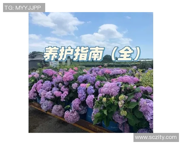 花卉种植技巧与养护方法全面解析，打造美丽花园的实用指南